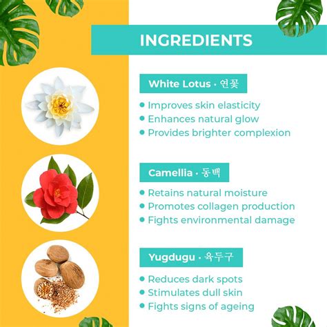 Foxy.in : Buy Pilgrim White Lotus Day Cream SPF 50 with Camellia ...