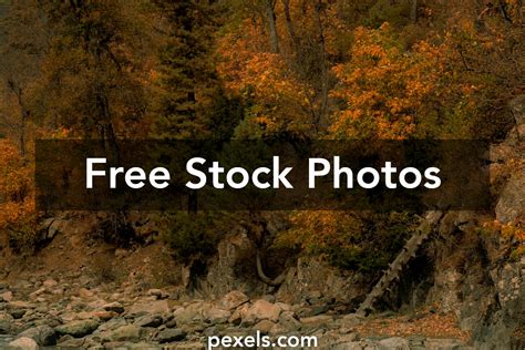 Bing Popular Searches 的图像结果