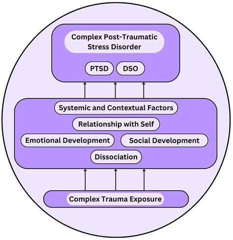 Frontiers | Tracing the paths: a systematic review of mediators of ...