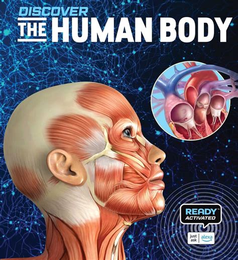 Discover: The Human Body (Ready Activated: A Readyland Alexa ...