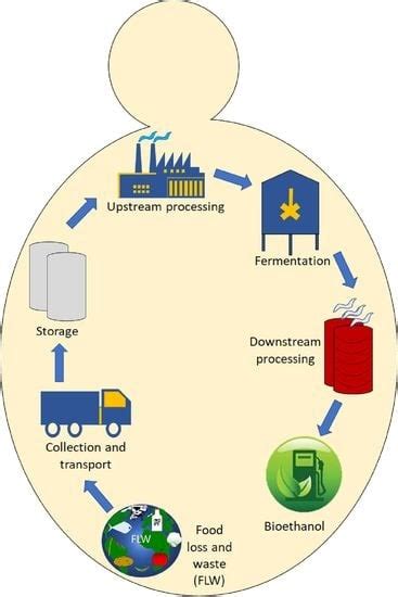 Fermentation | Special Issue : Organic Waste Valorization into Added ...