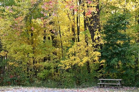 4153 W Ridge Rd unit House - 2nd Floor - Erie, PA 16506 ...