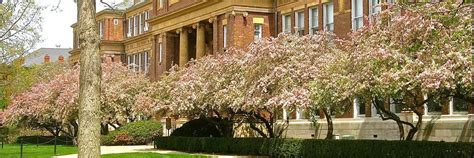 DHS Announces New Special Student Relief for F-1 International Students ...