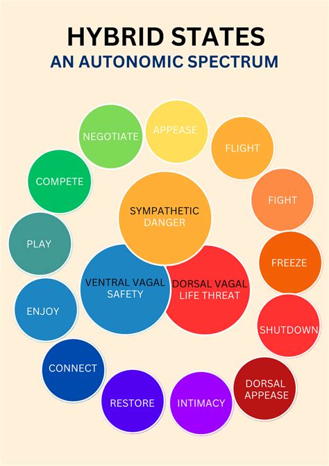 Image result for Autonomic Ladder