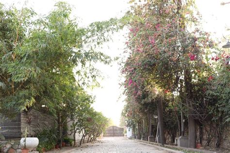 Punsumi Farm by Artisan - Venue - Sikar Road - Jhotwara - Weddingwire.in