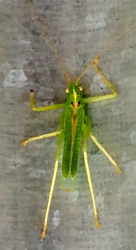 SUNFLOWER PARK (Gainsborough) - Campground Reviews & Photos - Tripadvisor