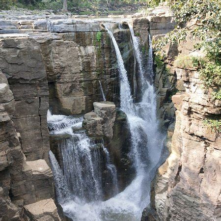 Adilabad Tourism (2024): All You Need to Know Before You Go