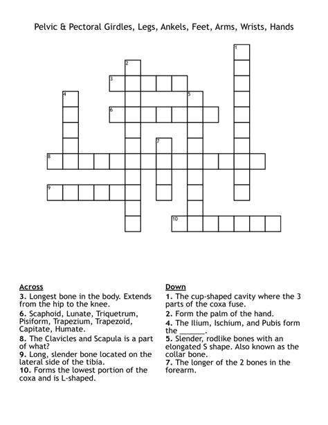 Pelvic & Pectoral Girdles, Legs, Ankels, Feet, Arms, Wrists, Hands ...