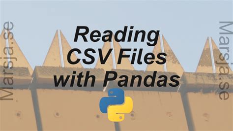 Pandas Read CSV File 的图像结果