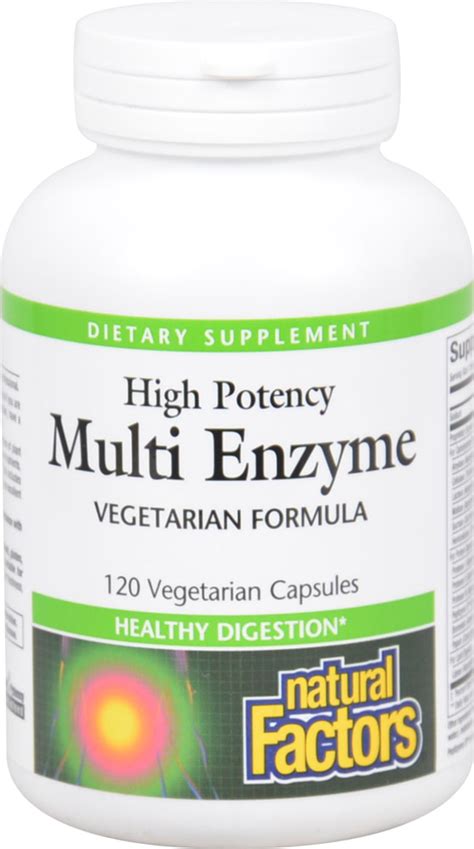 Natural Factors Multi Enzyme High Potency -- 120 Vegetarian Capsules ...