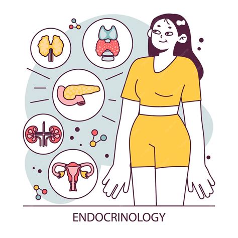 Endocrinología órganos del sistema endocrino páncreas glándula tiroidea hipófisis glándula ...