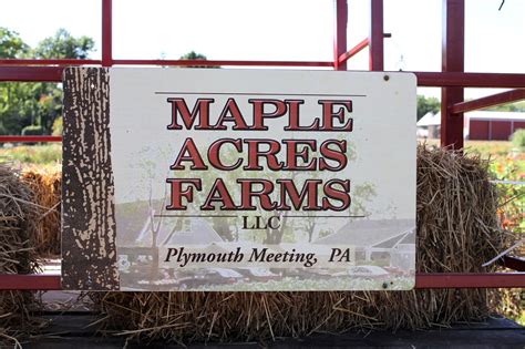 Maple Acres Pick Your Own at Elmer Holt blog