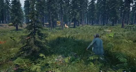 Image result for Ranch Simulator Guide