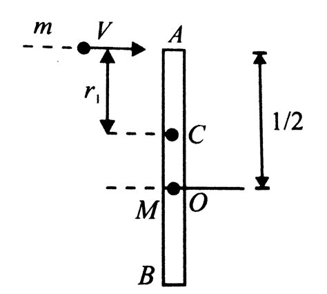 A uniform rod of length `L` lies on a smooth horizontal table. The rod ...