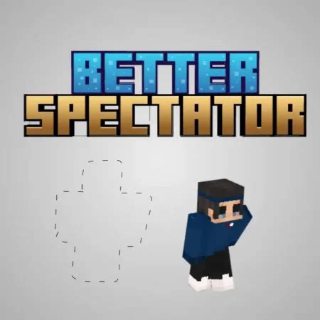 Image result for Enable Spectator Mode Java