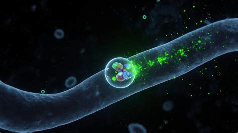 What Drugs Use Nanoparticles? A Clear Guide to Nanomedicine Today