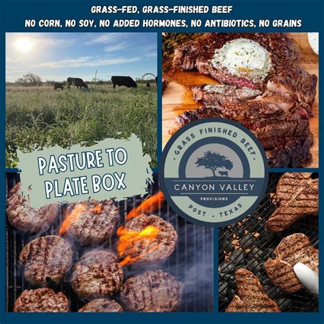 Pasture to Plate Box – Canyon Valley Provisions