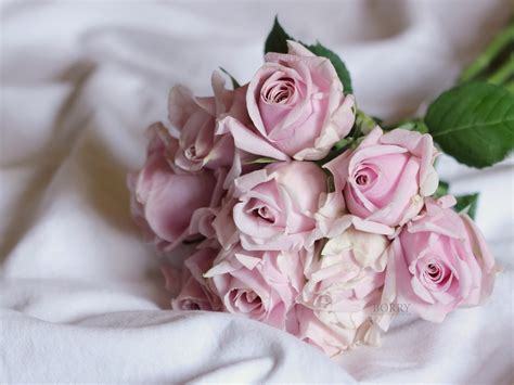4K, Bouquets, Roses, Pink color, HD Wallpaper | Rare Gallery