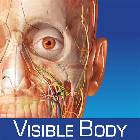 Atlas Of Human Anatomy