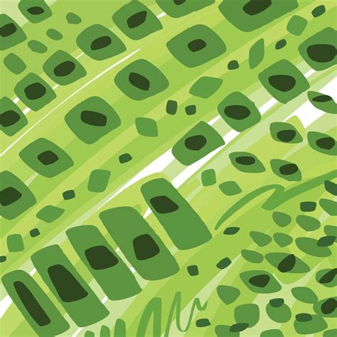Green biology leaf cells inspired shape abstract background vector ...