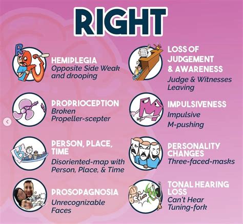 Compare and contrast left and right hemisphere stroke. #medicine # ...