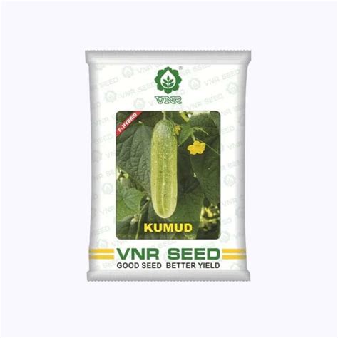 VNR Cucumber Seeds | Buy Online in India at Best Price – Desikheti