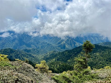 How to Hike Mount LeConte in Great Smoky Mountains National Park ...