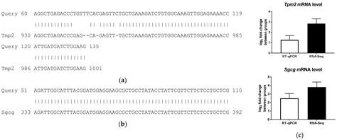 Global Transcriptome Analysis of Brown Adipose Tissue of Diet-Induced ...