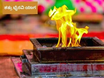 Shatru Bhairavi Yaga: ಶತ್ರು ಭೈರವಿ ಯಾಗ ಎಂದರೇನು? ಇದರಲ್ಲಿ ಏನೆಲ್ಲಾ ಬಲಿ ...