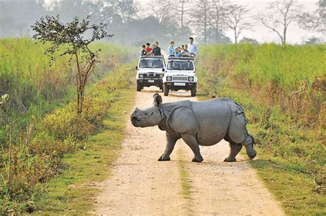National Parks in India | Largest | Smallest | Newest