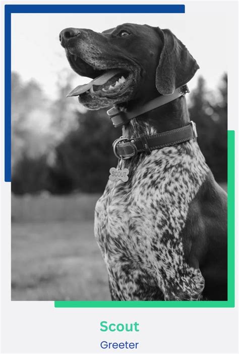 About Us | Blue Ridge Cabinet Connections – Expert Kitchen Cabinets