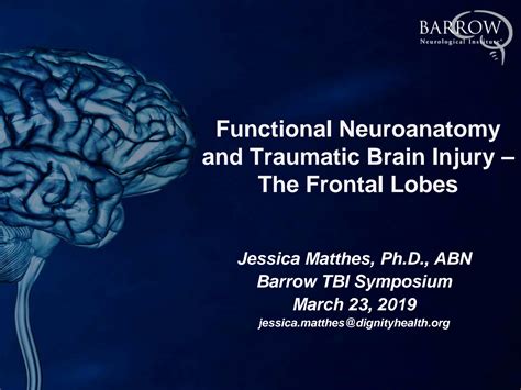 SOLUTION: Functional neuroanatomy and traumatic brain injury the frontal lobes presentation ...