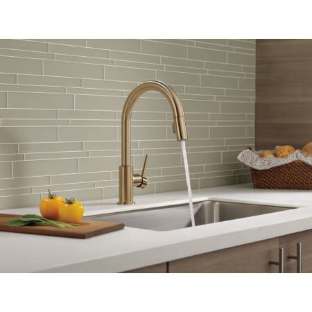 Delta 9159-ARLS-DST Trinsic 1.8 GPM Single Hole Pull Down Kitchen ...