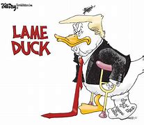 Image result for 即将离任 lame duck