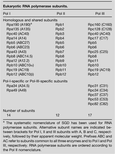 RNA Polymerase Structure 的图像结果