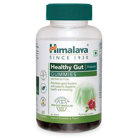 Buy Himalaya Healthy Gut Probiotic GUMMIES 30s, 60s – Himalaya Wellness (India)