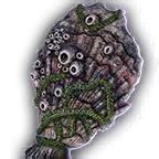 Fossilised Shell - bg3.wiki