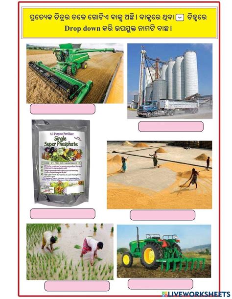 8th Standard Science 1st Lesson Exercise 的图像结果