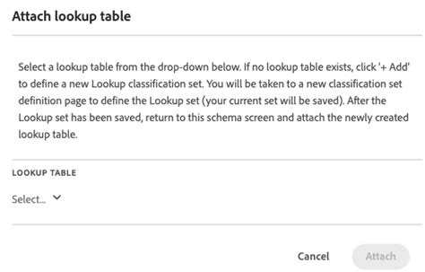 Classification set schema | Adobe Analytics