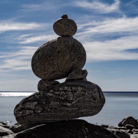 Image result for Trauma Brain Development