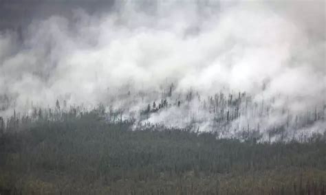 Canada's 2023 wildfires burned huge chunks of forest, spewing far more ...