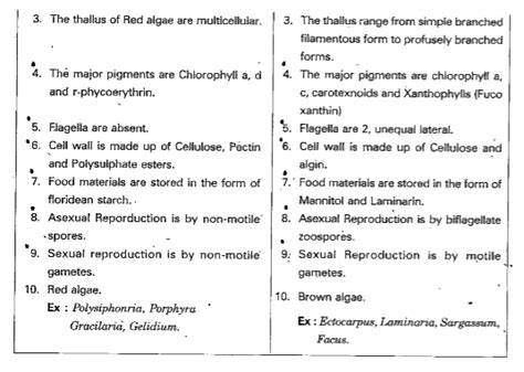 Differentiate between red algae and brown algae.