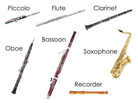 Image result for All Types of Wind Instruments