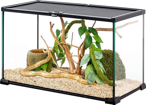 Buy OIIBO 10 Gallon Reptile Glass Terrarium - 20'' x 10'' x 12'' Naural ...