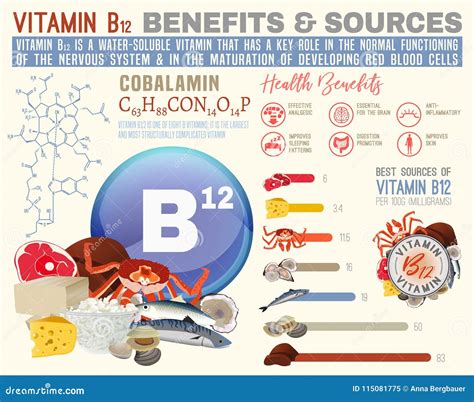 Vitamin B12 Benefits stock vector. Illustration of factor - 115081775