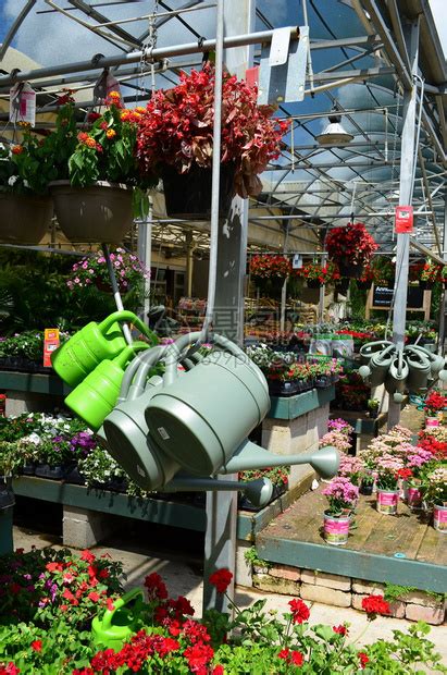 家装店园艺区展示的植物和园艺用品高清图片下载-正版图片502688683-摄图网