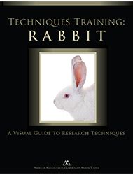 Bildergebnis für rabbit training tips