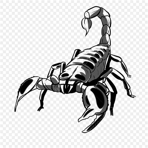 Clip Art Scorpion