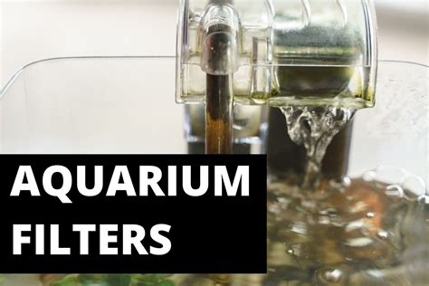 Image result for External Fish Filter Calcium Buildup