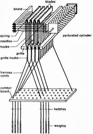 Image result for Stages Before a Python Sheds